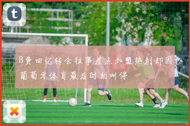 B费回忆转会往事差点加盟热刺却因葡萄牙体育最后时刻叫停