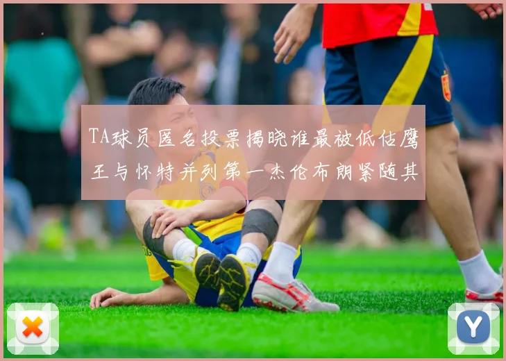 TA球员匿名投票揭晓谁最被低估鹰王与怀特并列第一杰伦布朗紧随其后