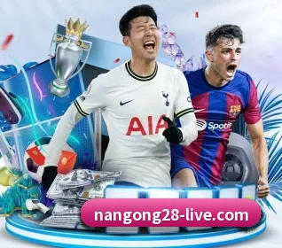 我们在做什么 - ng28