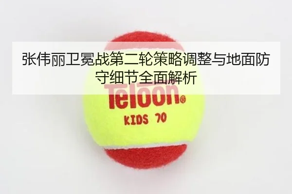 张伟丽卫冕战第二轮策略调整与地面防守细节全面解析（ng28）